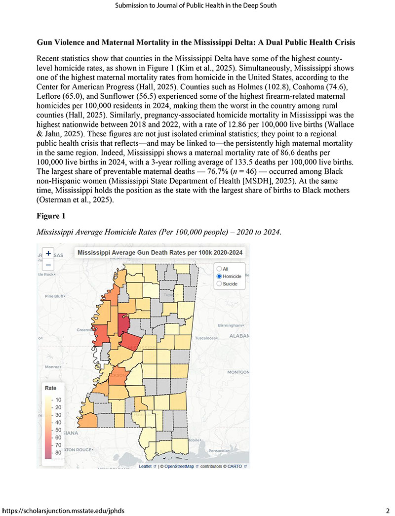 Gun-Violence-and-Maternal-Mortality-in-the-Mississippi-Delta-3
